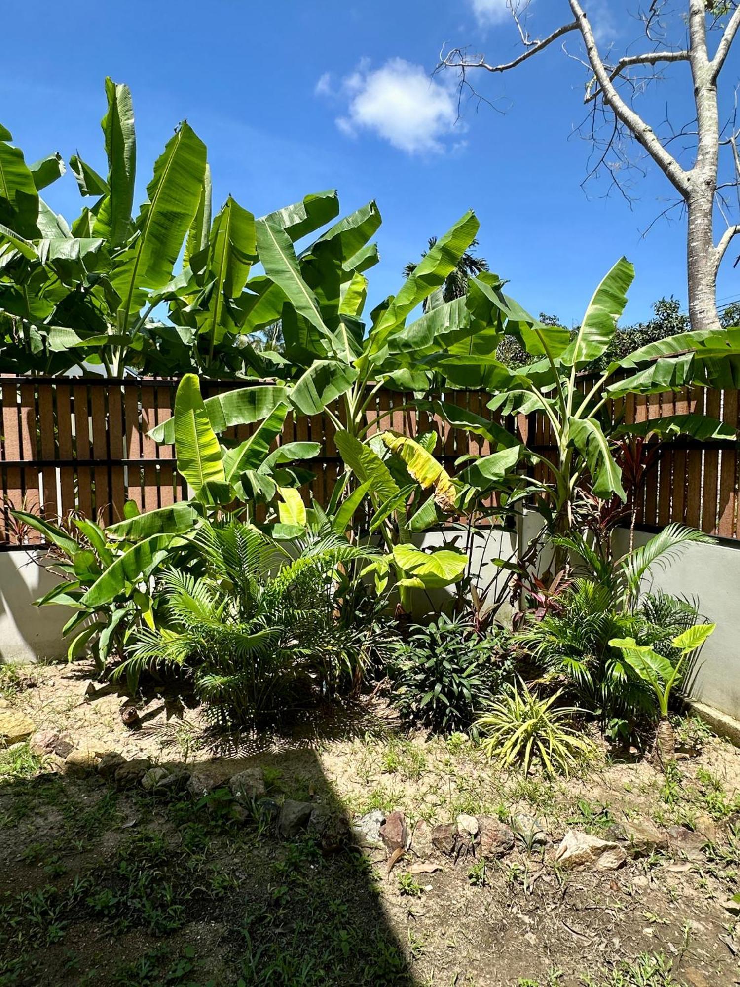 Tropical Thai Villa Chaloklum Exterior photo